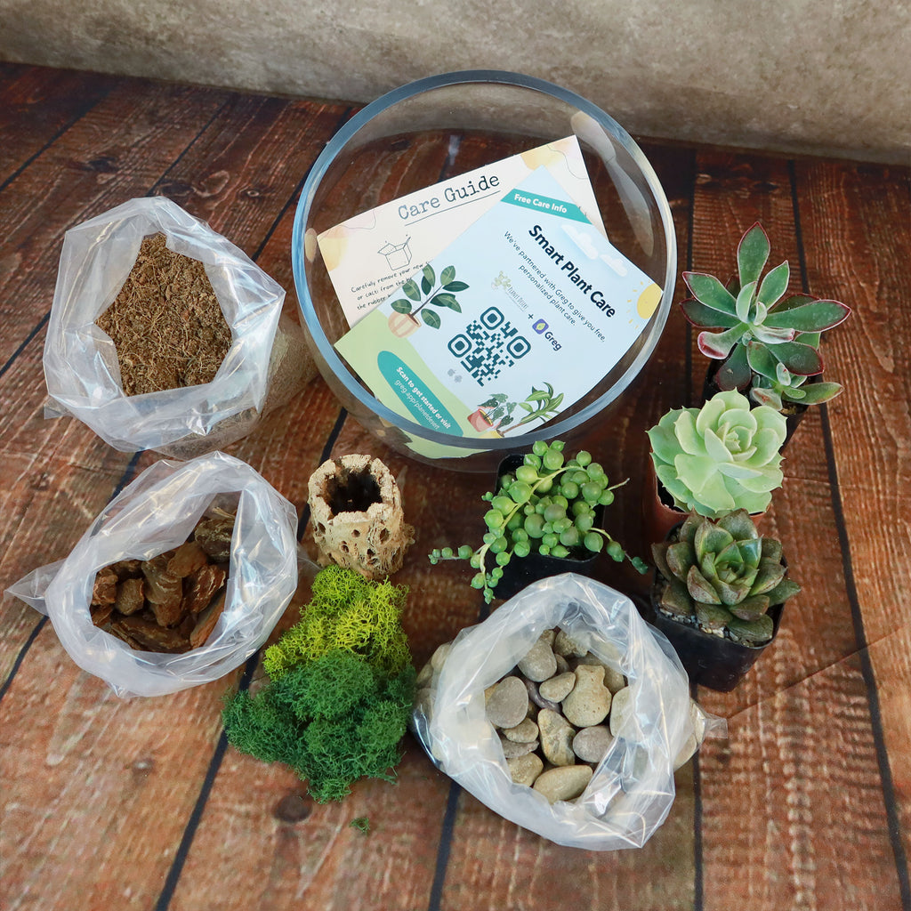Half Moon Glass Succulent Terrarium DIY Kit - Includes 4 Plants, decorative rocks and more...