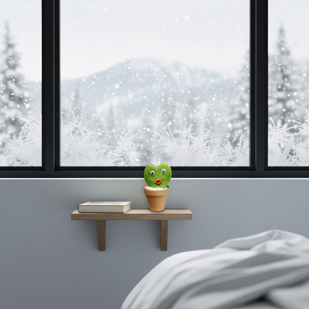 Heart Cactus Pal – Living Hoya Heart with Big Eyes & Red Lips