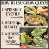 Houseplant Potting Mix