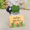 Hoya Heart Plant - Lovers Day Valentine’s Gift with Teddy Bear