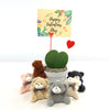 Hoya Heart Plant - Lovers Day Valentine’s Gift with Teddy Bear