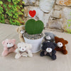 Hoya Heart Plant - Lovers Day Valentine’s Gift with Teddy Bear