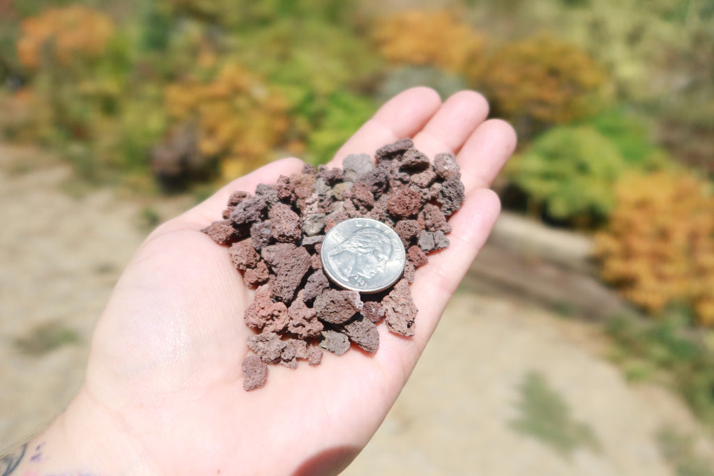 1 Lb 3/8 Red river rock Cactus and Succulent Top Soil Dressing