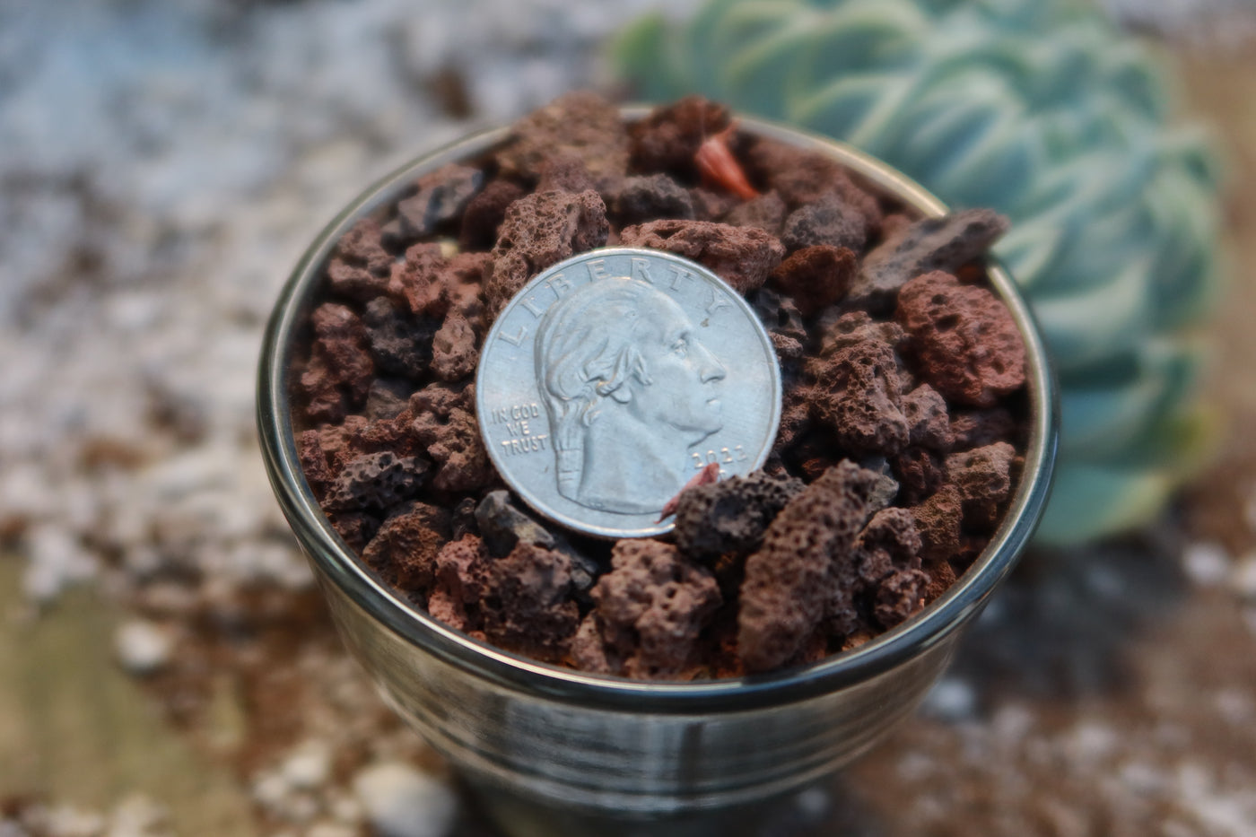 succulent soil topper 1 Lb 3/8 Red river rock Cactus and Succulent Top Soil Dressing – Planet Desert