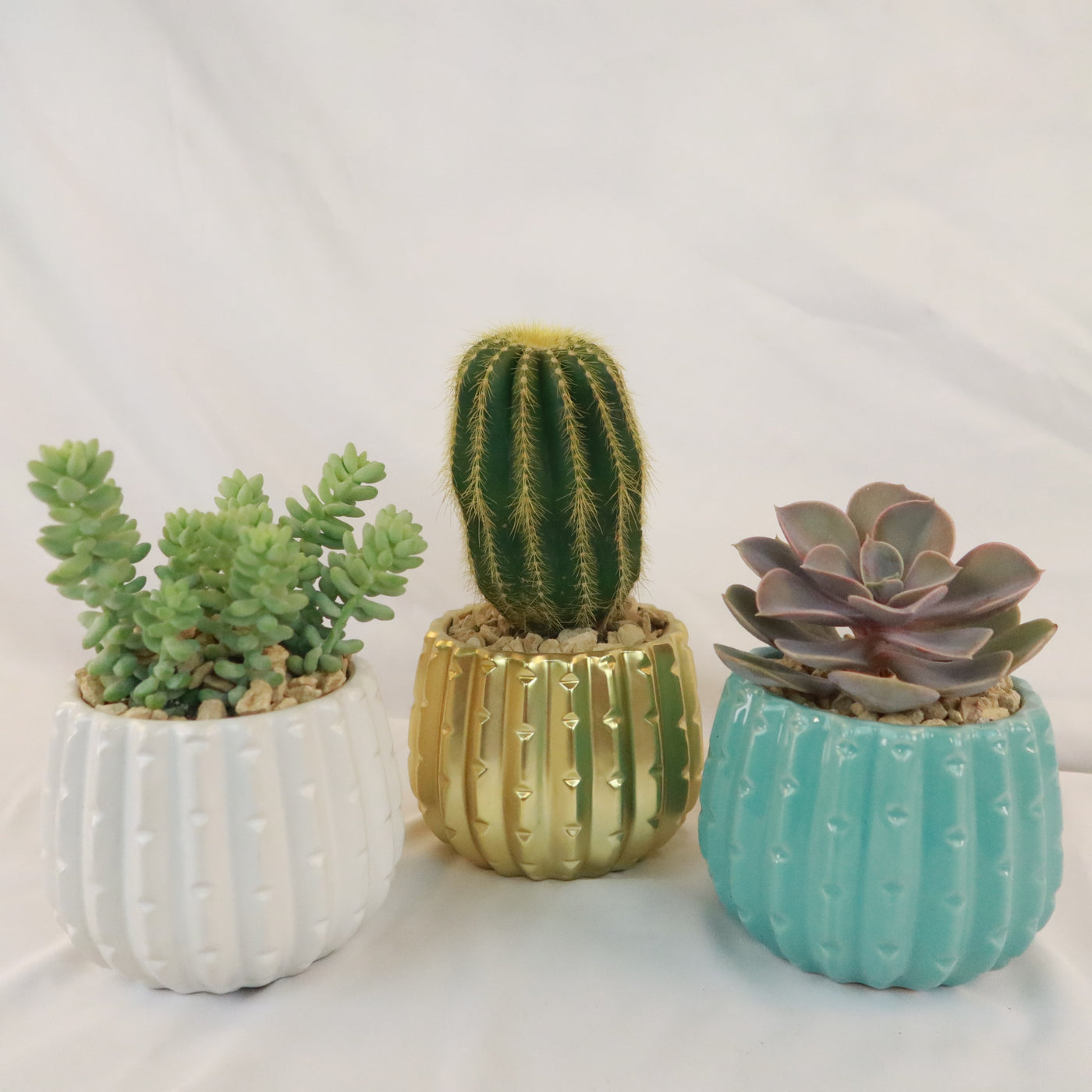 ceramic cactus flower pot Gift Unique Ceramic Pot w/ Cactus or Succulent 4"Pot / Matte Gold w/ Cactus