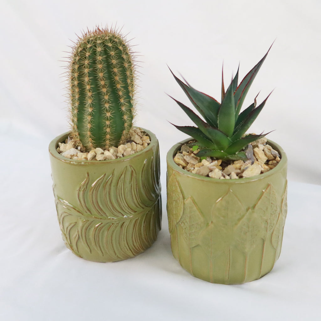 Gift Green Cylindrical Vase w/ Cactus or Succulent