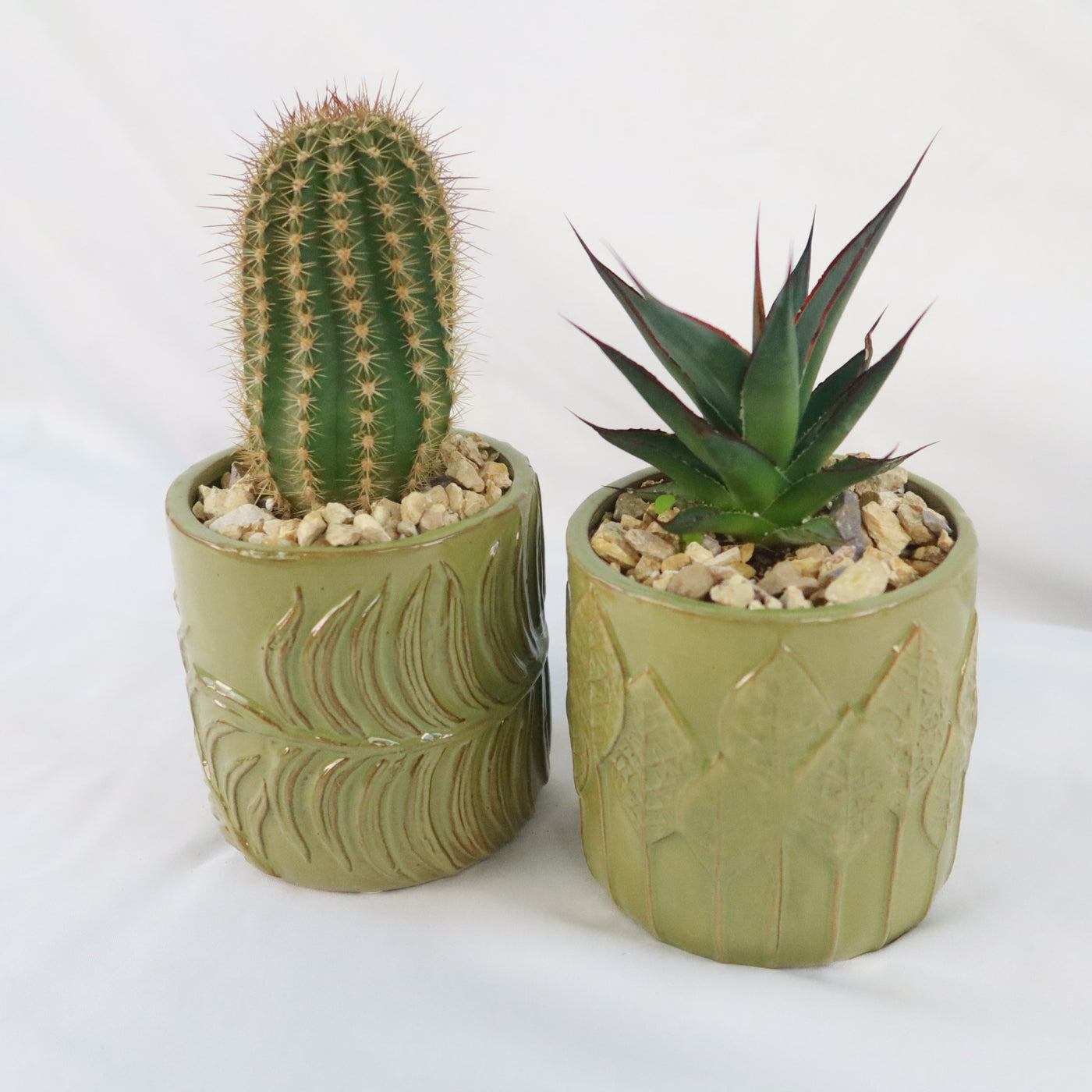 vases for succulents Gift Green Cylindrical Vase w/ Cactus or Succulent