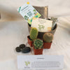 3 Cacti Taupe DIY Kit