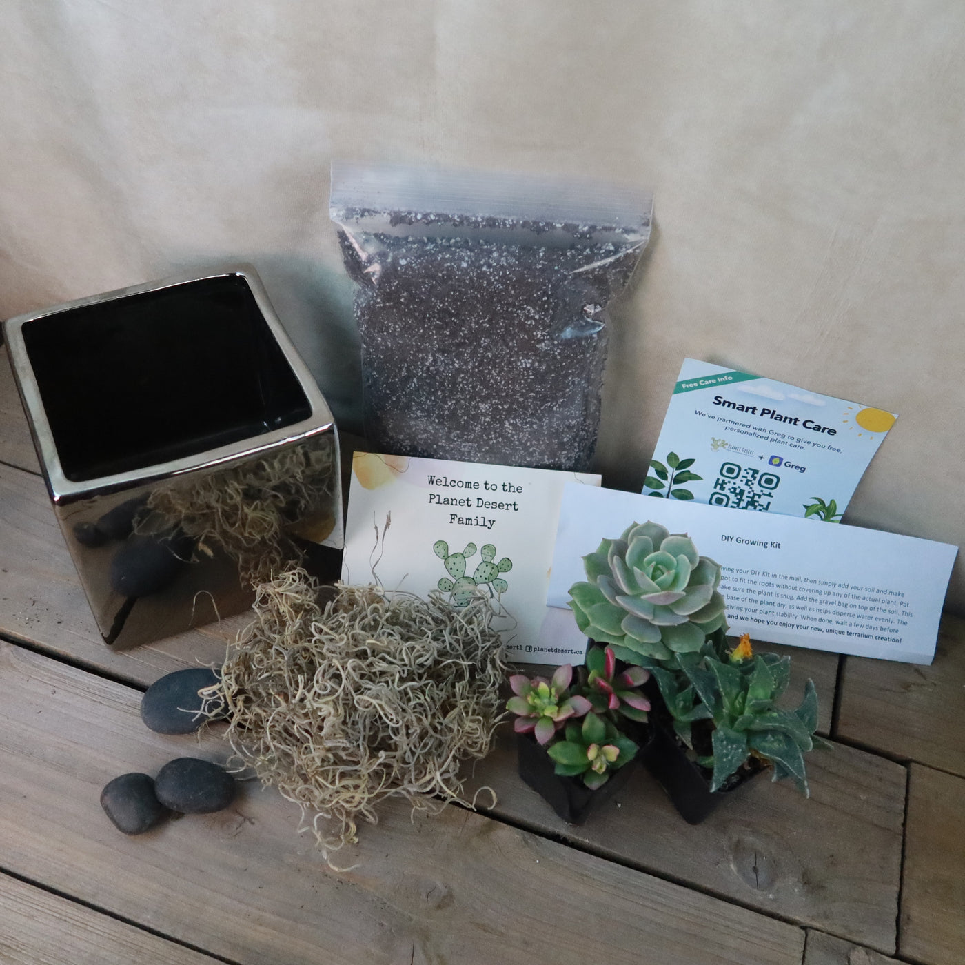 smart planet succulents DIY Ceramic Cubed Pot w/ 4 assorted Succulents 5" Textured Silver