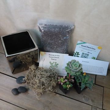 4 in succulent pot DIY Ceramic Cubed Pot w/ 4 assorted Succulents 5