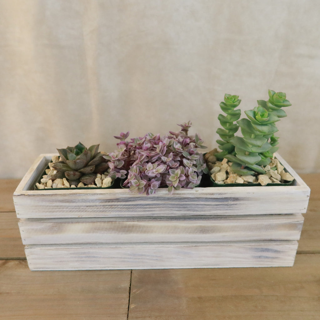 White Washed Wine Crate Box