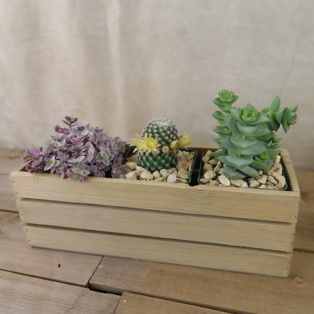 Rustic Cracked Wood Box Long Rectangle