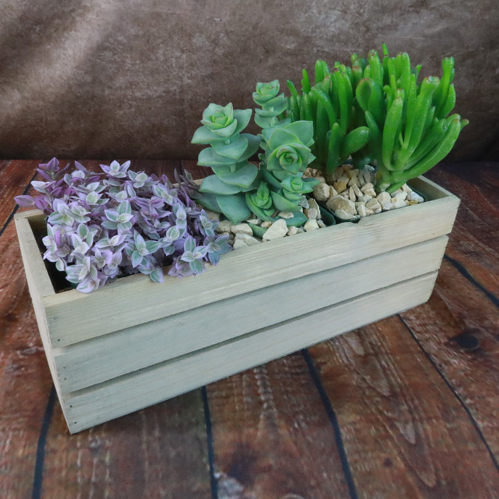 Gift Rustic Wood Crate w/ Cactus or Succulents