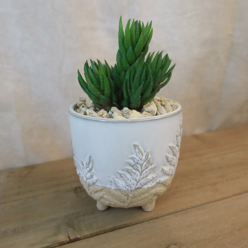 Gift Fern Print Cream & Sand two toned footed Pot w/ Cactus or Succulent