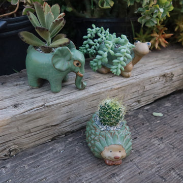 Gift Ceramic Animal Planters for Indoor With Cactus or Succulent 3