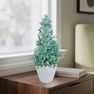 Shop 'Lavender Christmas Tree' Care and Growing Guide