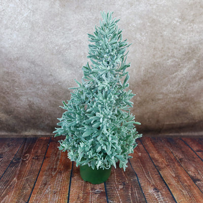 Lavender Christmas Tree