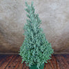 Lavender Christmas Tree
