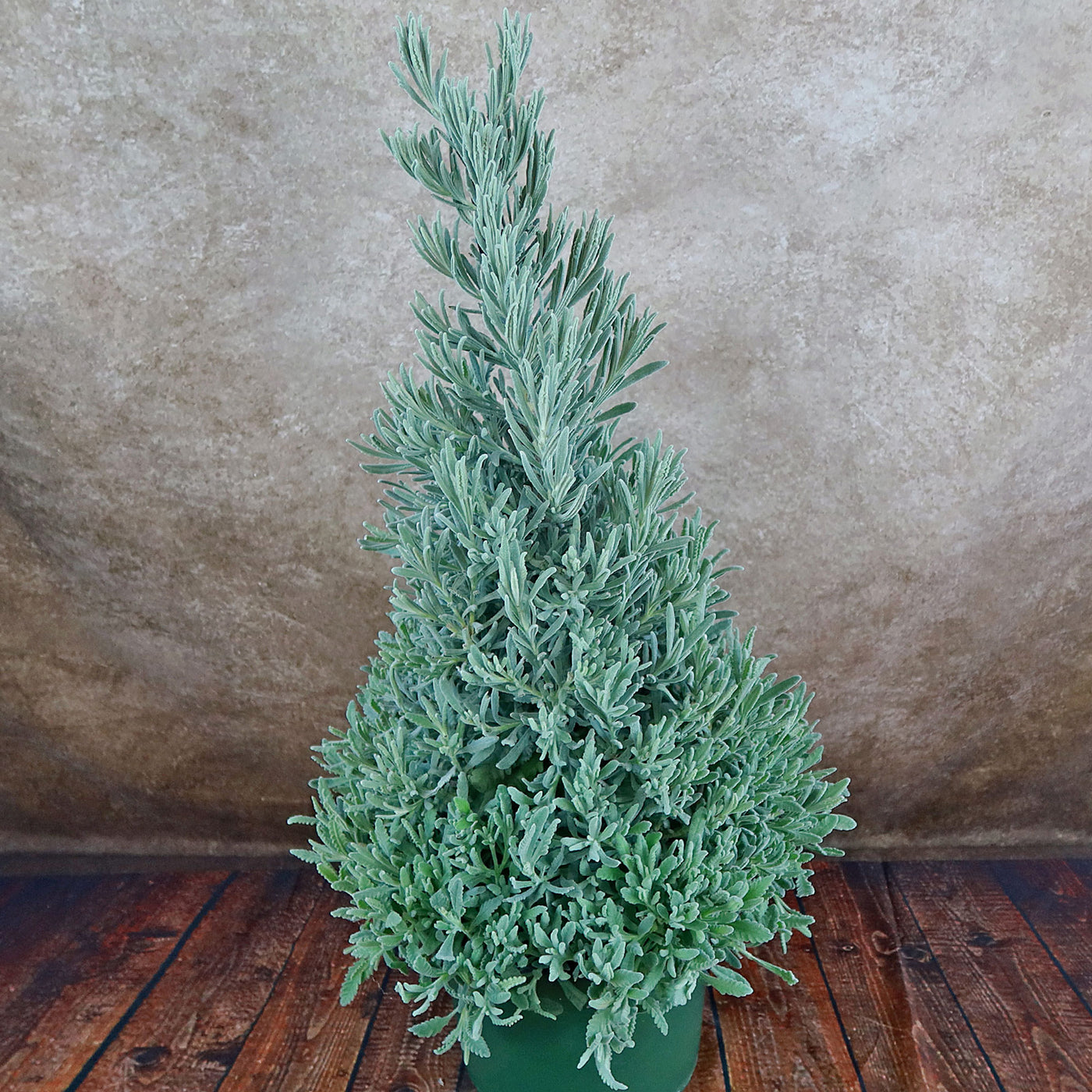 Lavender Christmas Tree
