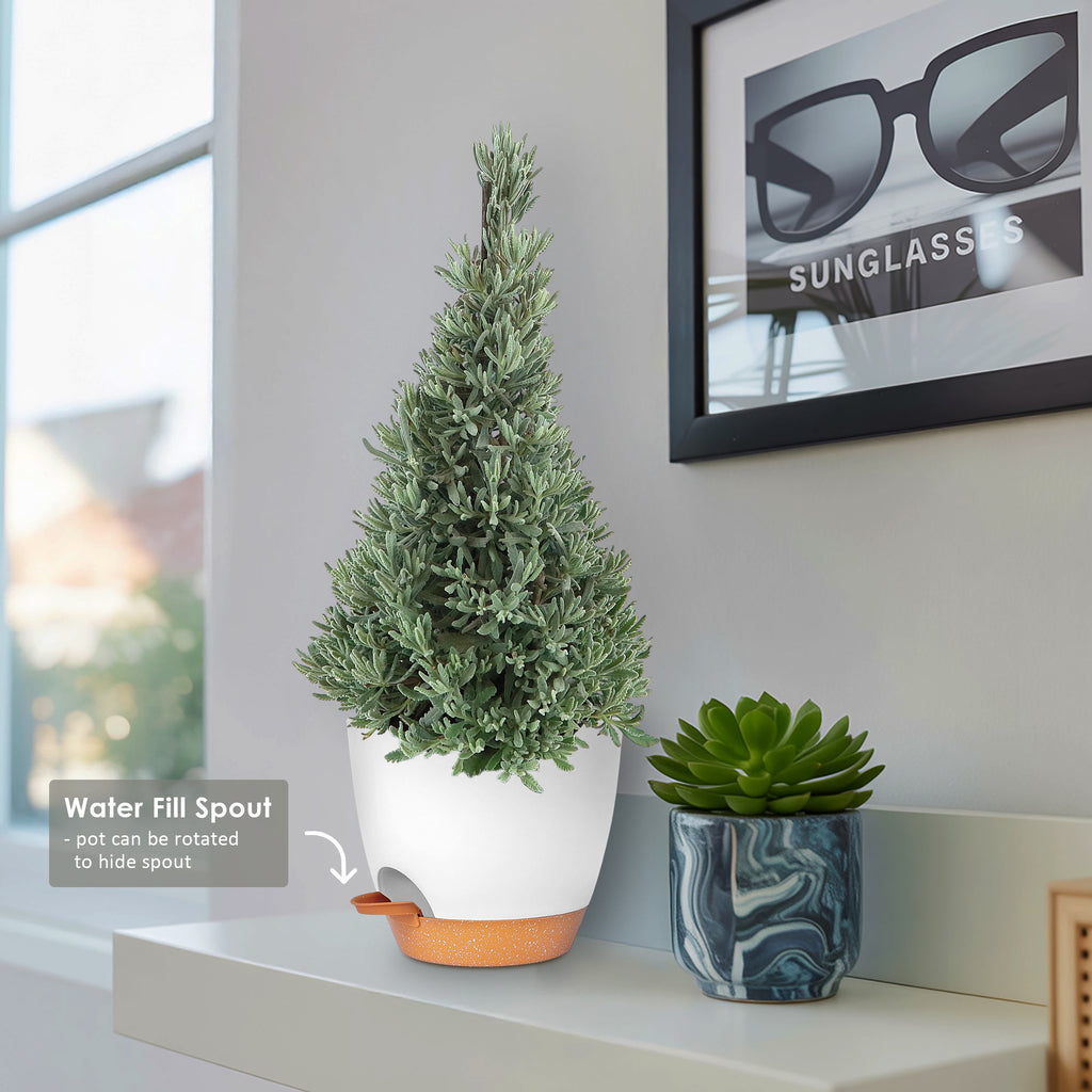 Lavender Christmas Tree