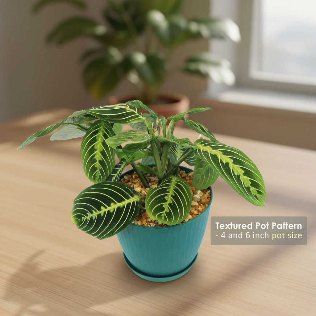 patrol_placeholder_a6ead9acc5af34cb22c78a05ed144ef7