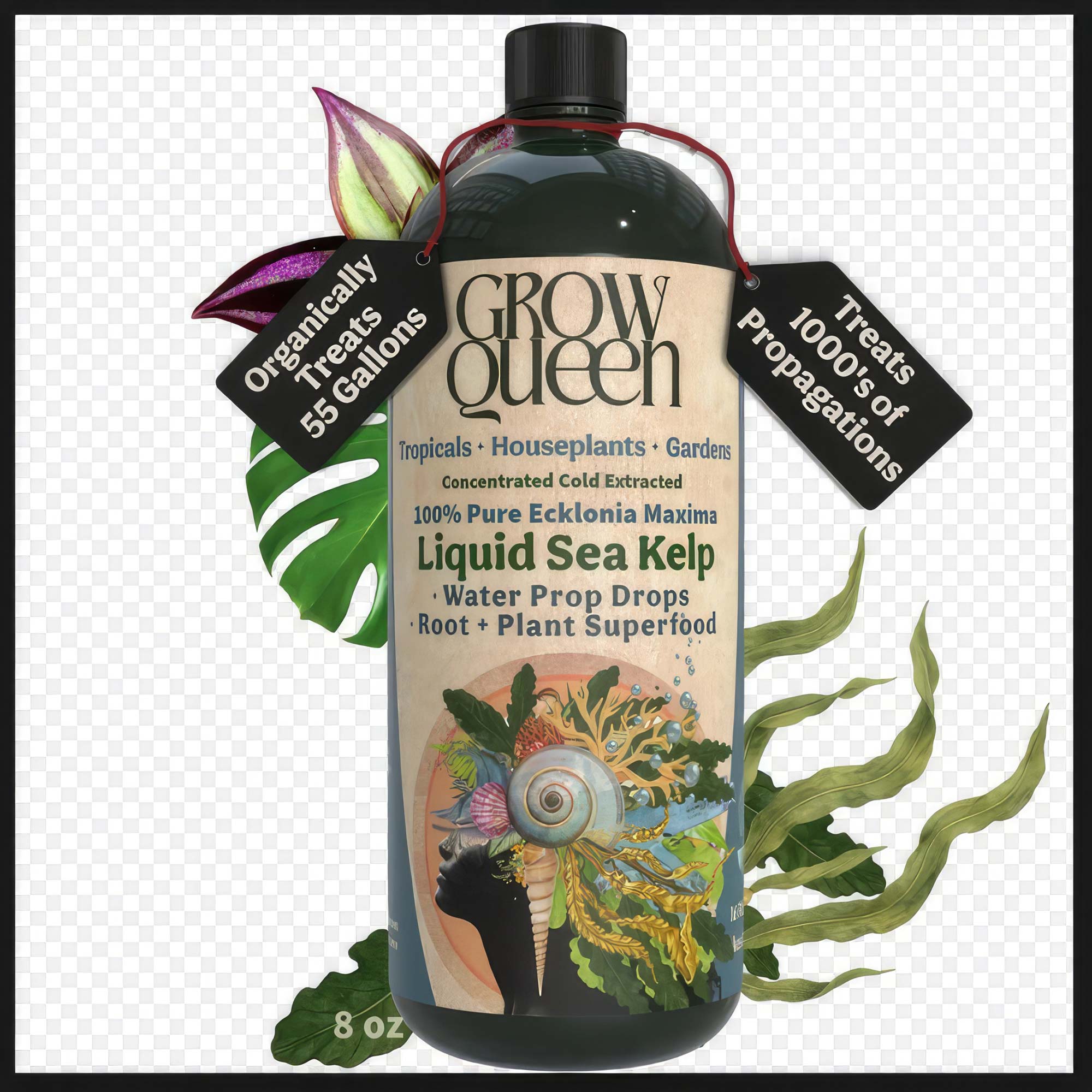 Best Liquid Seaweed Fertilizer - Your Plant Superfood