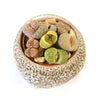 Lithops Arrangement with Tan & Brown Rock Pot