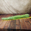 Lophocereus schottii mieckleyanus cuttings