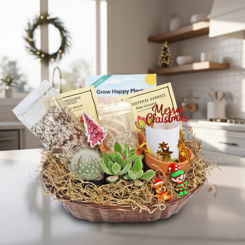 1 Cactus and 1 Succulent Growing Kit – A Creative Gift Basket