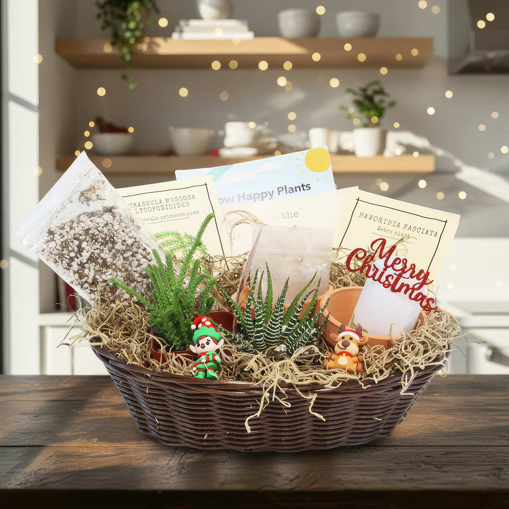 Gift basket with two small potted succulents, care kits, festive figurines, and a Merry Christmas sign on a wooden table.
