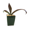 Mangave Purple Passion with three curved green and reddish leaves in a dark green square pot on pebbles, shown on white background.