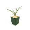 Mangave Freckles and Speckles hybrid succulent with long green leaves in light gravel, potted in a dark green square container.