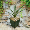 Mangave Freckles and Speckles potted succulent with narrow, spotted green leaves on stone, perfect for container gardening outdoors.