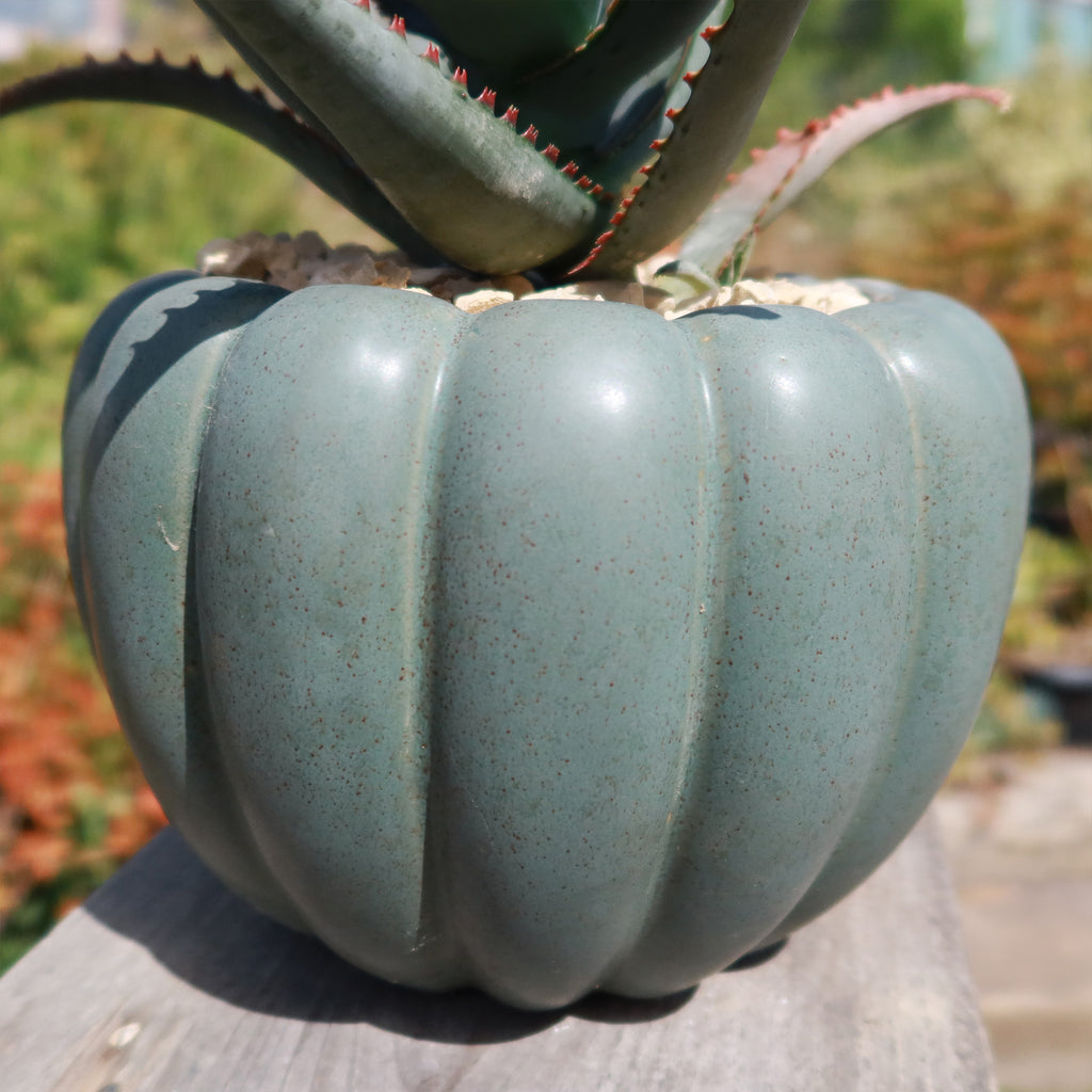 Weathered Hunter Green Pumpkin Pot