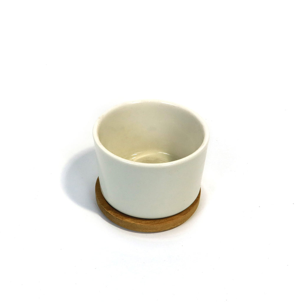 Mini White Ceramic Cactus Planter with Drainage Hole and Bamboo Tray