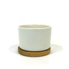 Mini White Ceramic Cactus Planter with Drainage Hole and Bamboo Tray