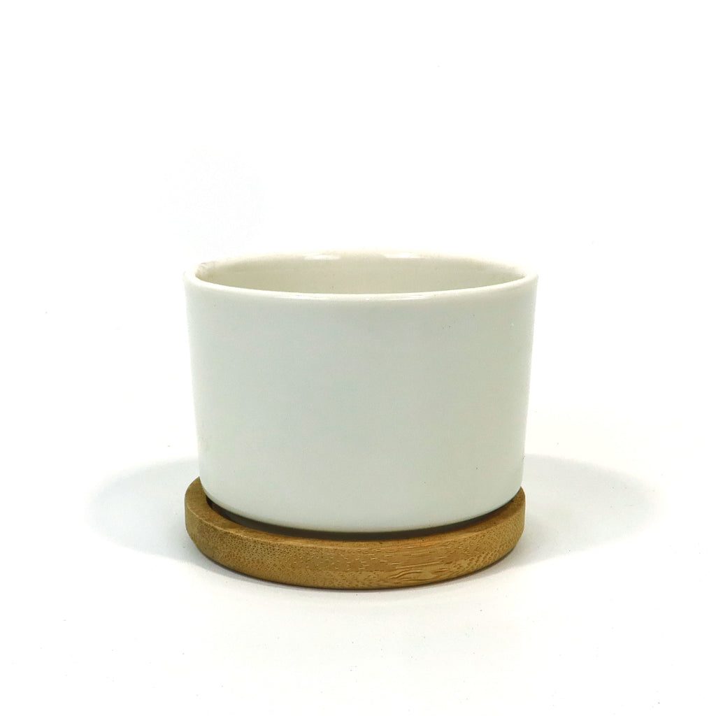 Mini White Ceramic Cactus Planter with Drainage Hole and Bamboo Tray