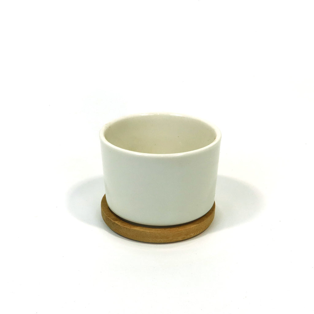Mini White Ceramic Cactus Planter with Drainage Hole and Bamboo Tray