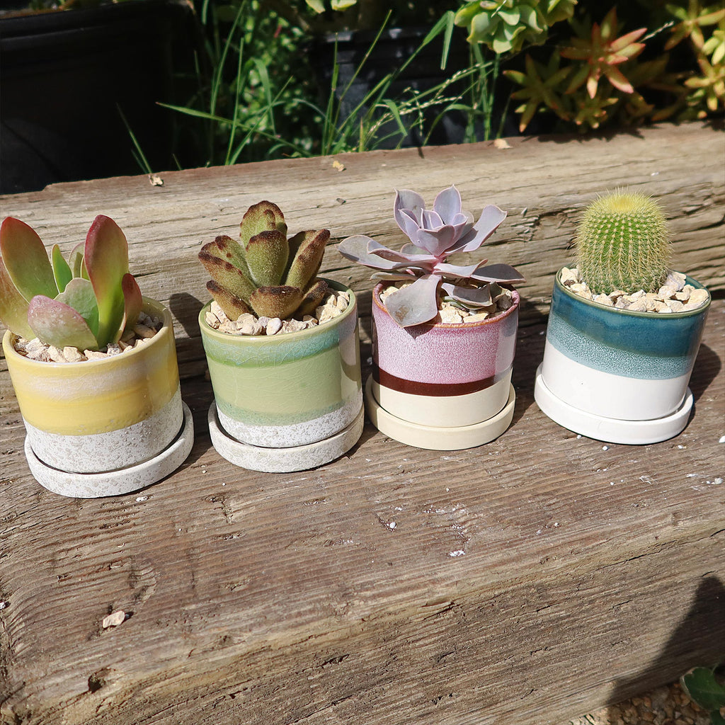 Minute Pot and Saucer