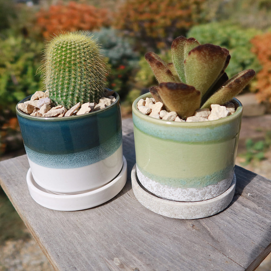 Minute Pot and Saucer