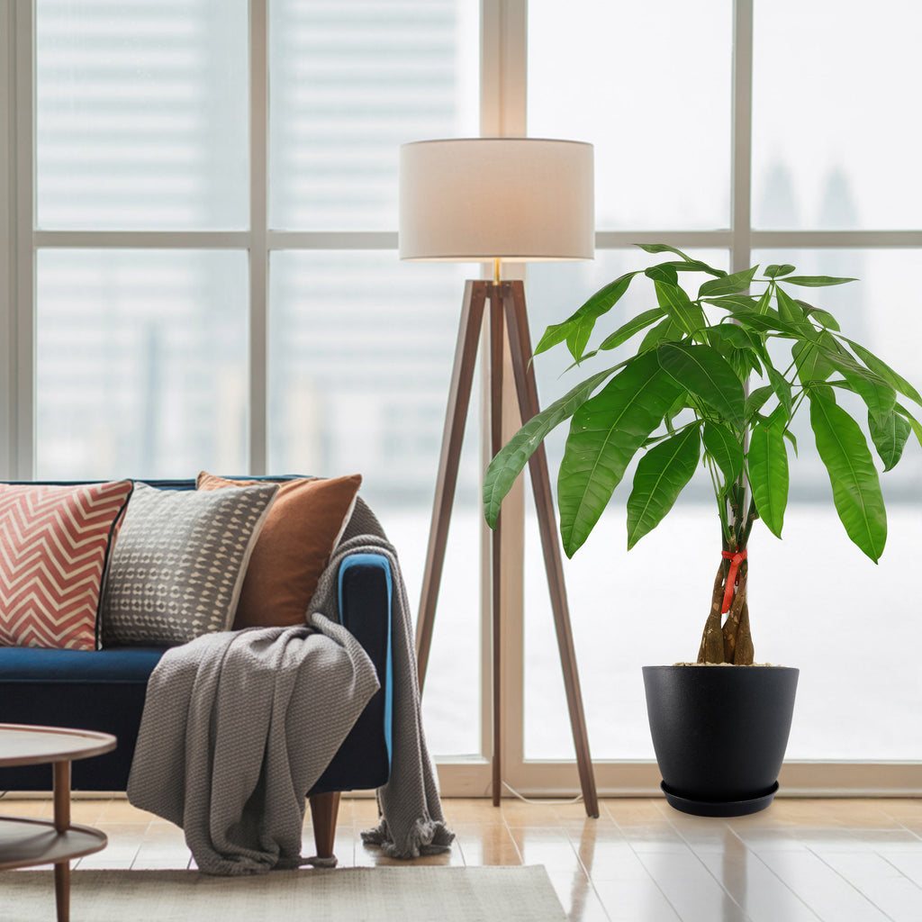 patrol_placeholder_a6ead9acc5af34cb22c78a05ed144ef7