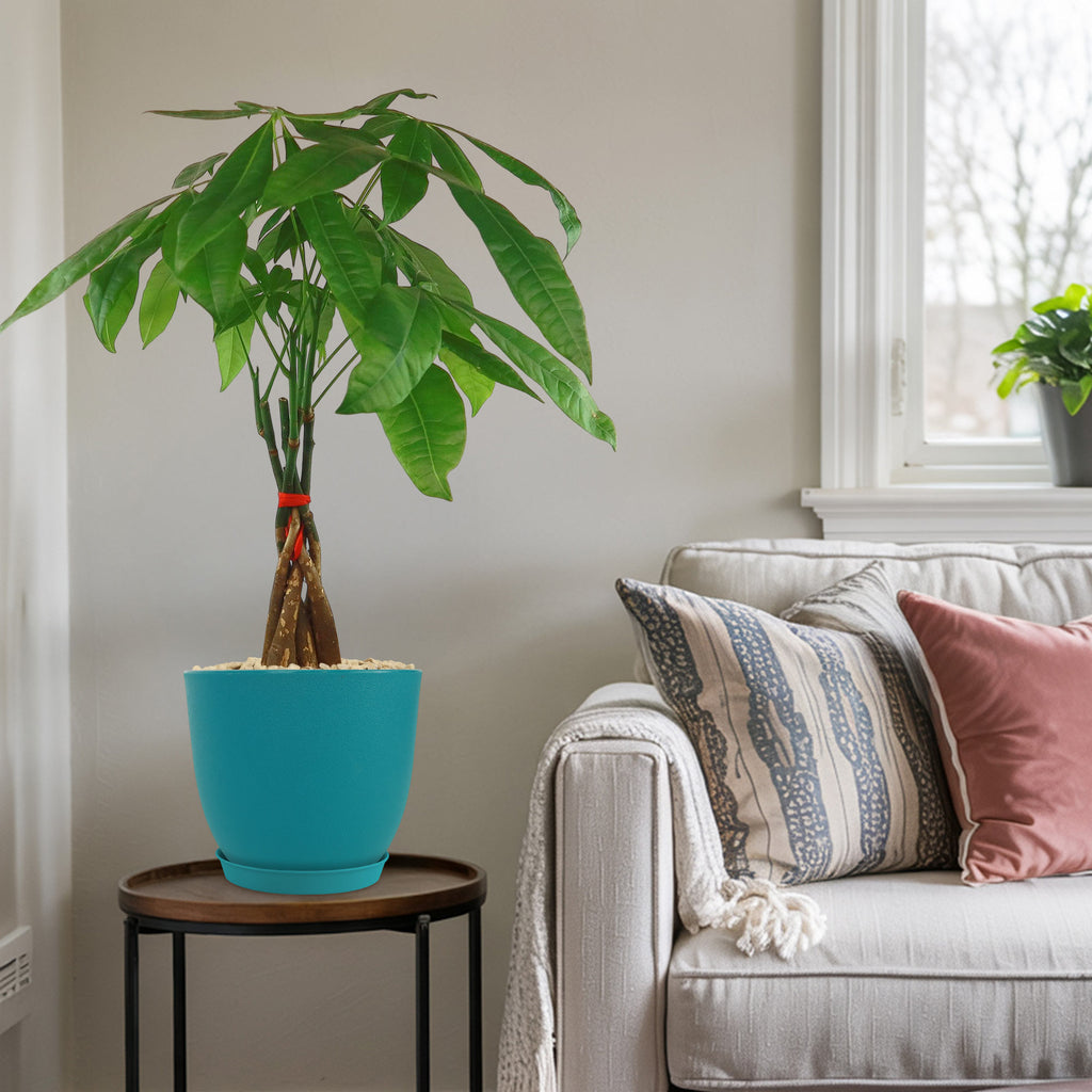 patrol_placeholder_a6ead9acc5af34cb22c78a05ed144ef7