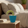 Monkey Tail Cactus – Cleistocactus colademononis 