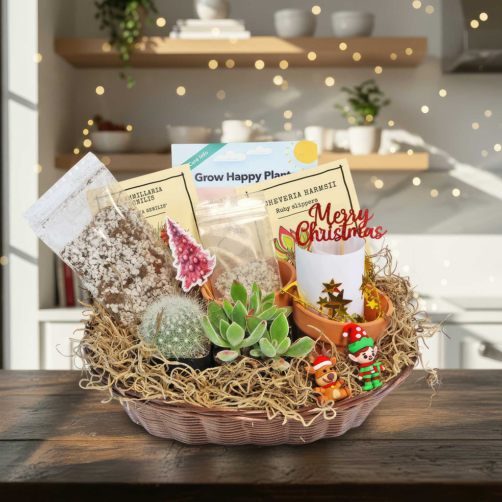 1 Cactus and 1 Succulent Growing Kit – A Creative Gift Basket