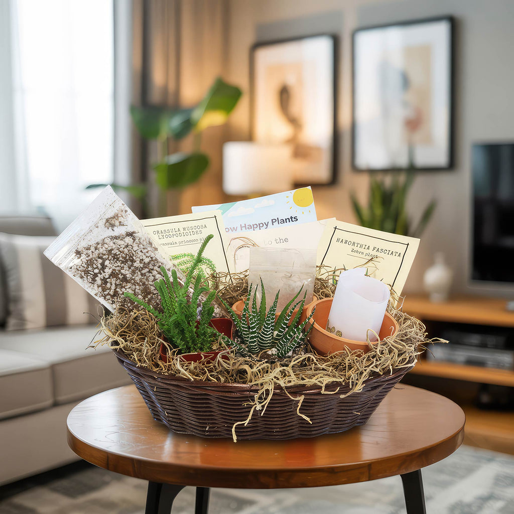 The 2 Succulent Growing Kit Gift Basket is on a table with succulents, candle, care cards, and soil in a cozy living room setting.