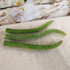 Monkey Tail Cactus Cutting (3 Pack)
