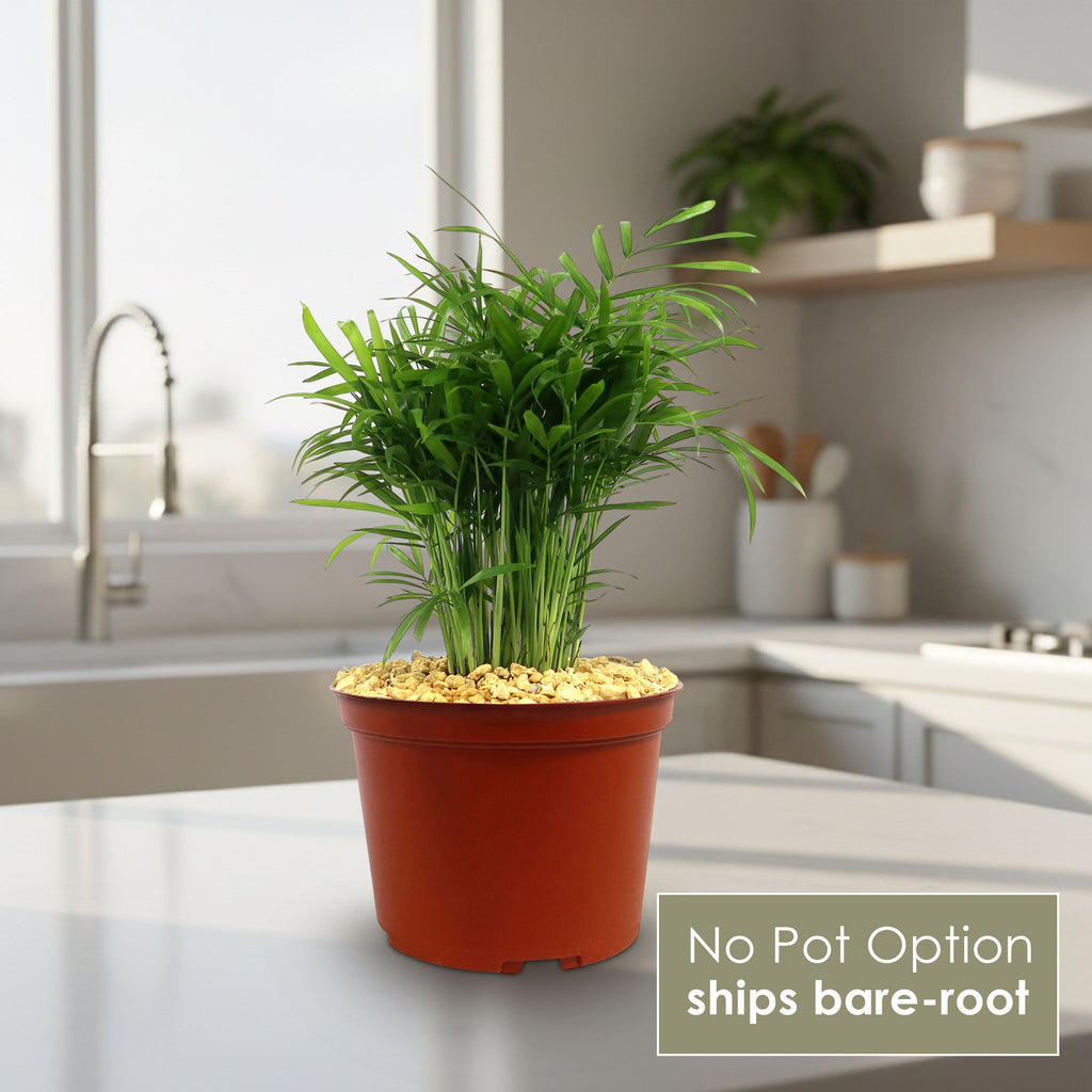 patrol_placeholder_a6ead9acc5af34cb22c78a05ed144ef7
