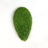 Opuntia Mona Lisa (Cutting)