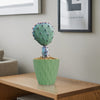 Opuntia &