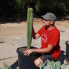 Mexican Fence Post Cactus &